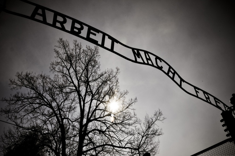 L'inferno da Auschwitz a Birkenau 